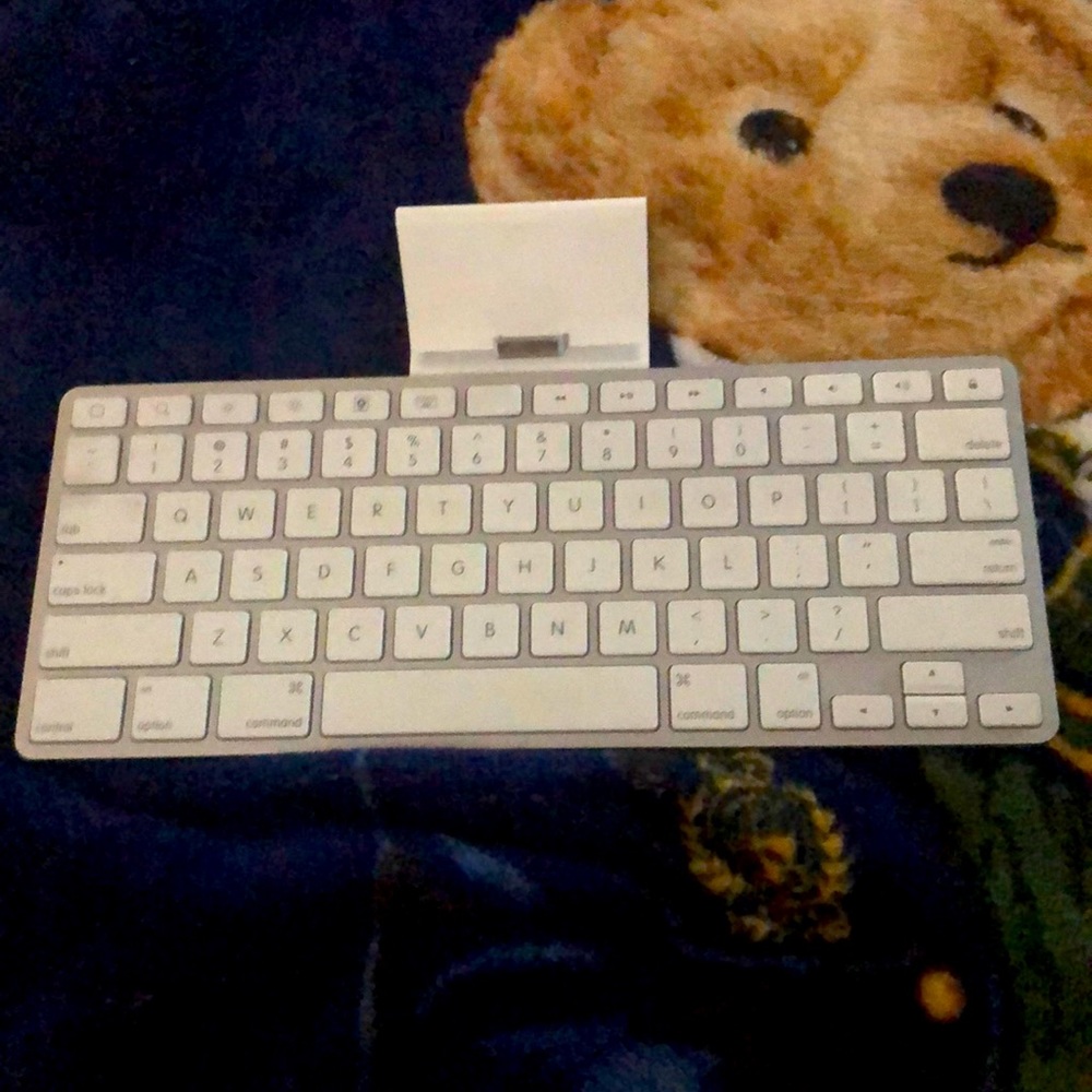Apple A1359 MC533LL/A Wired Keyboard